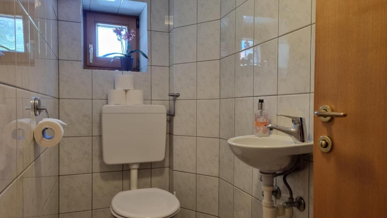 Sonnenkogel Appartement غالتور المظهر الخارجي الصورة